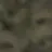 손님