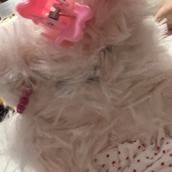 보육원
