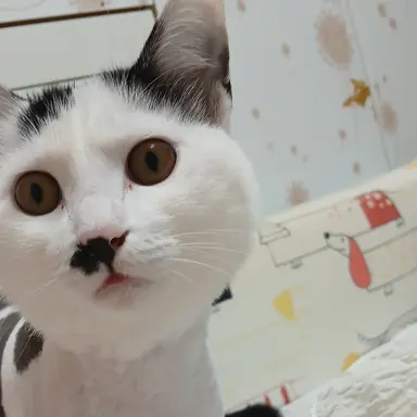 Profile image of 헤지혜