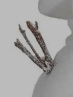 PPPsh4의 녹지말아요