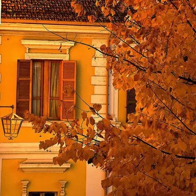 Profile image of 박덕개