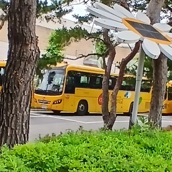 GivingSalt9361의 한국육영학교 버스 4호차 