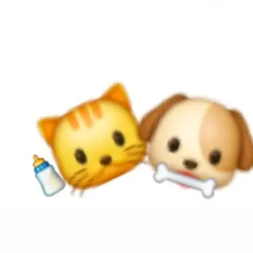 Profile image of 고강 커플