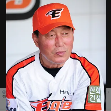 Profile image of 김인식