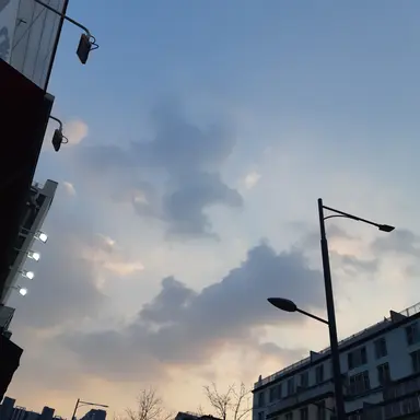 Profile image of 여우