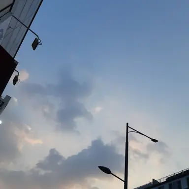 Profile image of 멜로우