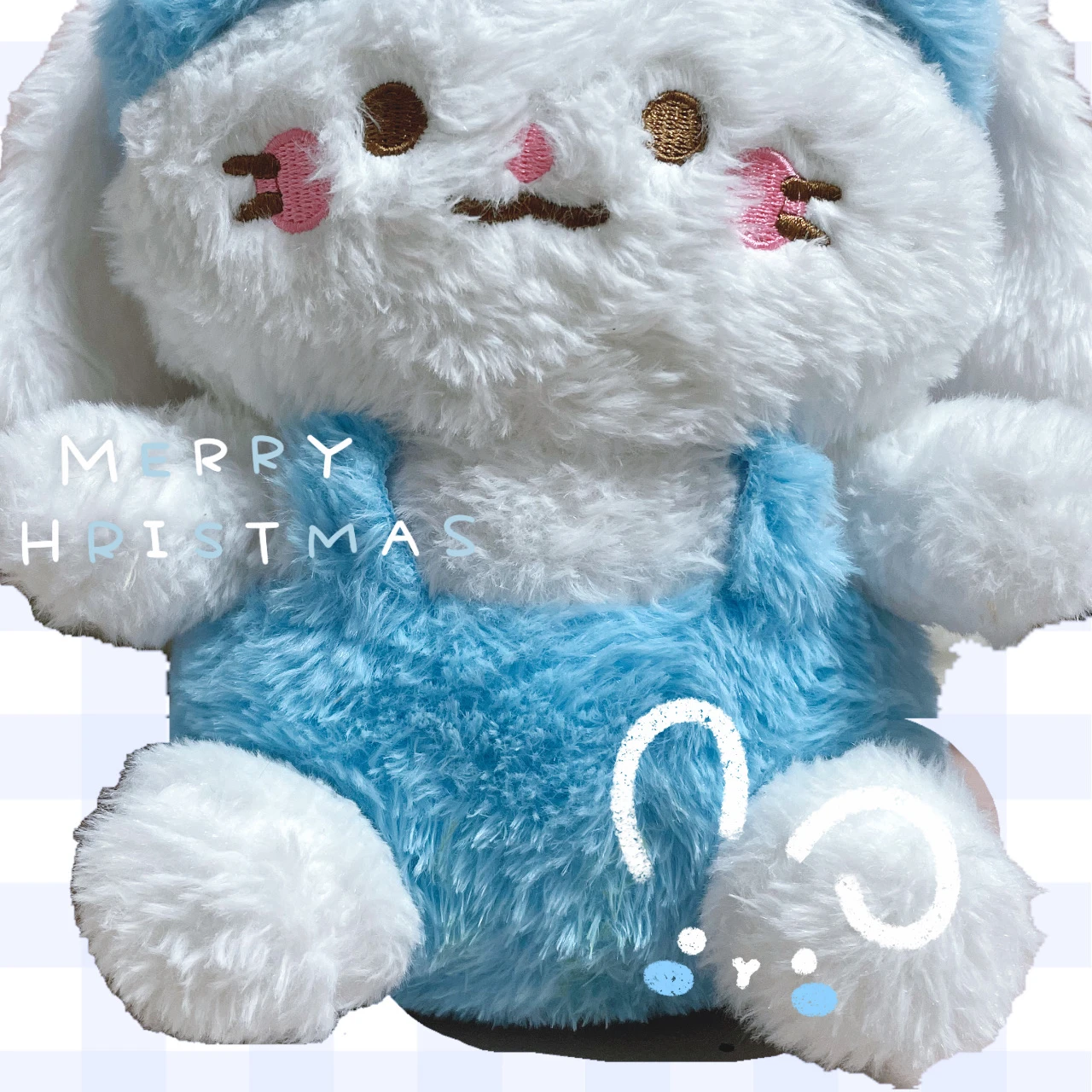 포라