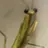 공지