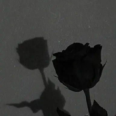 Profile image of 김솔음