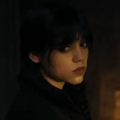 BraveChest6490의 Wednesday Addams