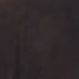 Profile image of そよ姫