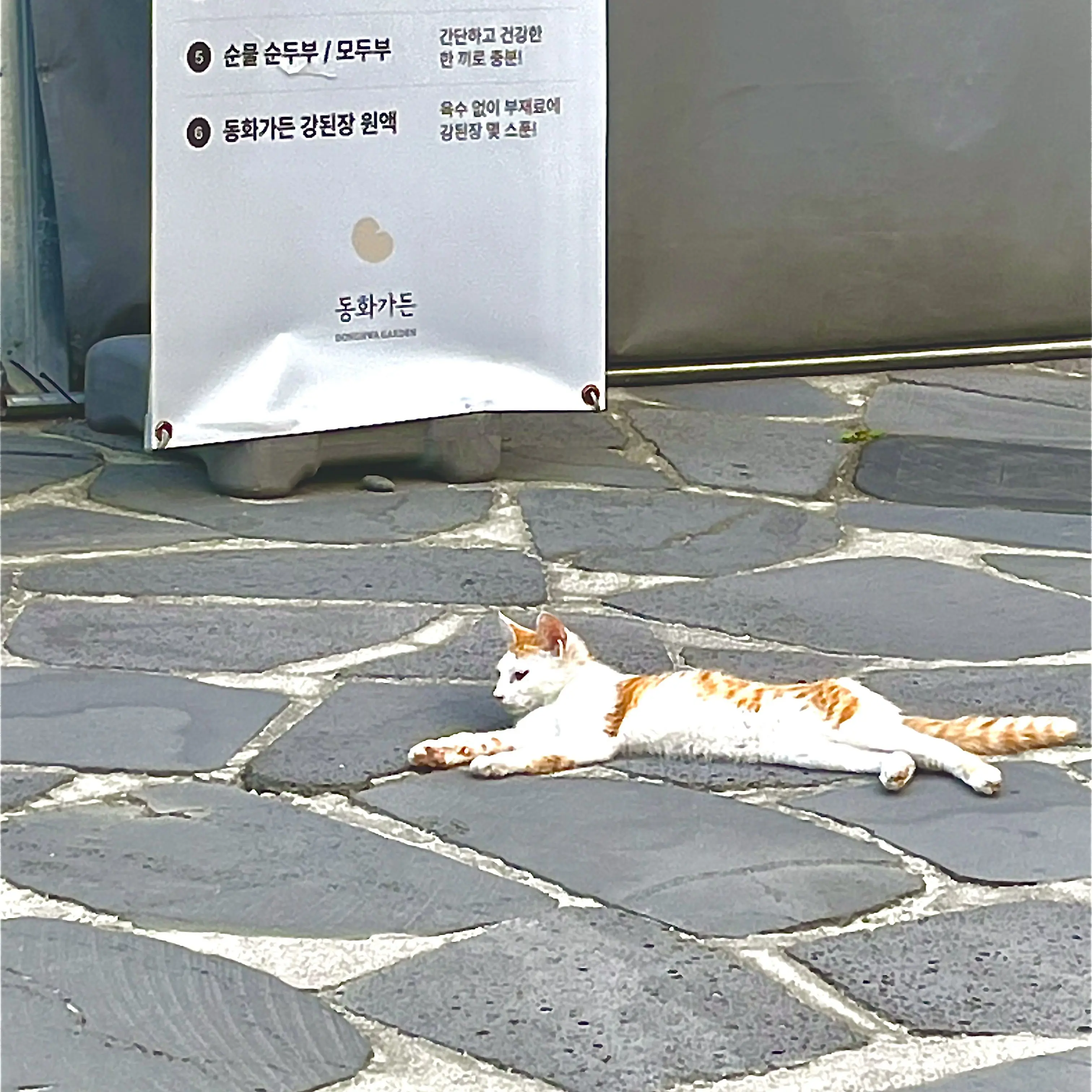 Sleepyhead1206의 하루토 [남편]