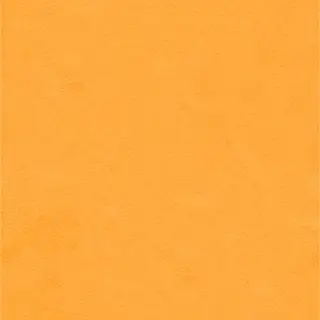 Profile image of 大場花菜