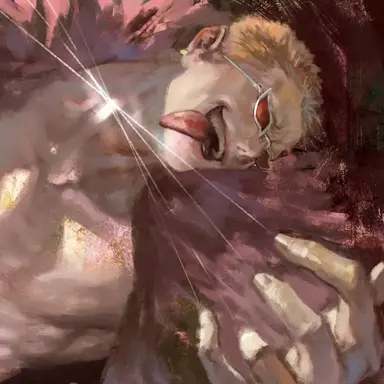 Profile image of 돈키호테 도플라밍고