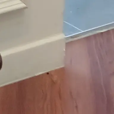 Profile image of 도망자들