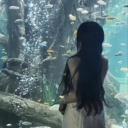 zestYearn의 고예진