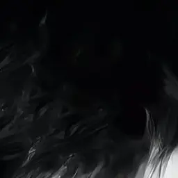 Profile image of 채스터