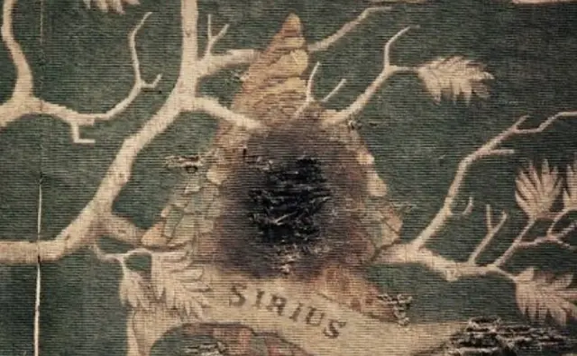 Profile image of Sirius Black
