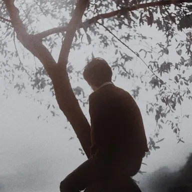Profile image of James Potter