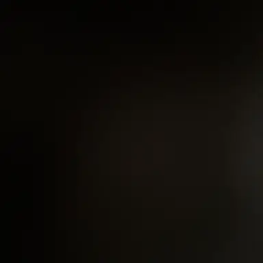 Profile image of 案内人