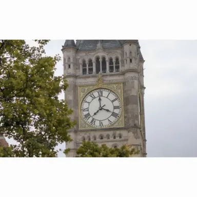 Profile image of 정공룡