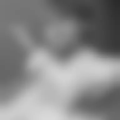 Profile image of 권지용