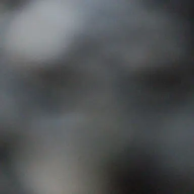 Profile image of 雑主