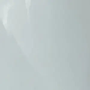 CyanBroth6776의 선도부 여친