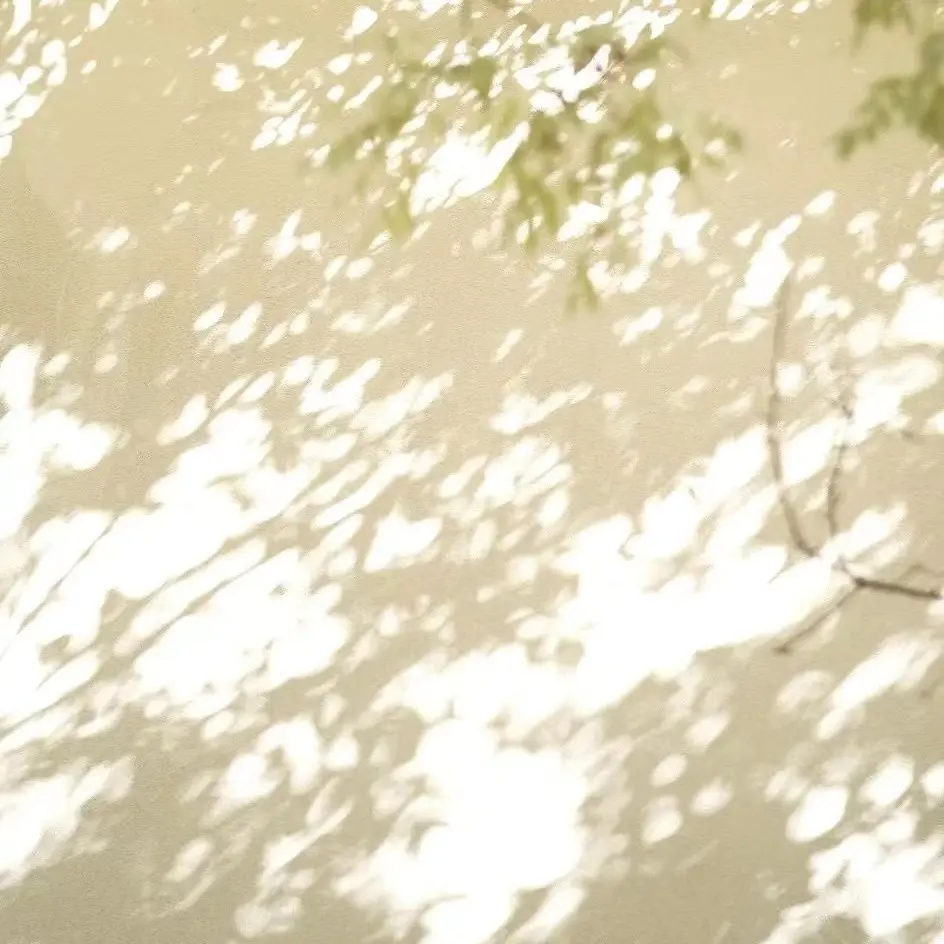 CrispyMule2223의 ｰｰくんと秘密の読書会
