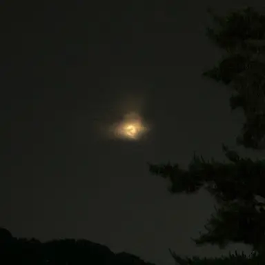 Profile image of 설윤아