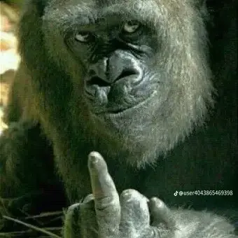 Profile image of 여우