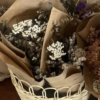 Profile image of 둘기