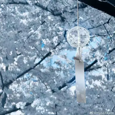 Profile image of 타코