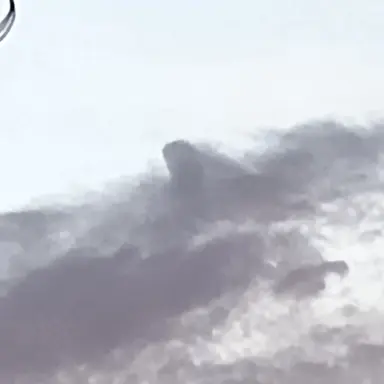 Profile image of Angel