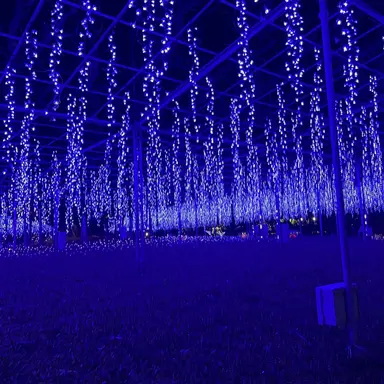 Profile image of カンミン