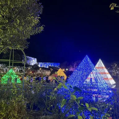 Profile image of ジュンソ