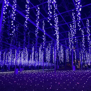 Profile image of ハンビン