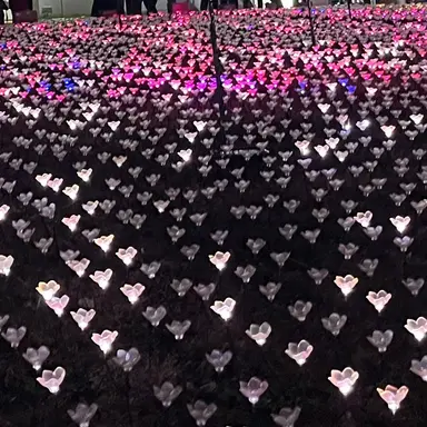 Profile image of ジウン