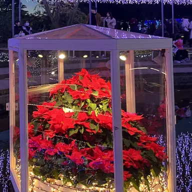 Profile image of ゴヌ