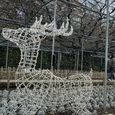 Profile image of サンウォン