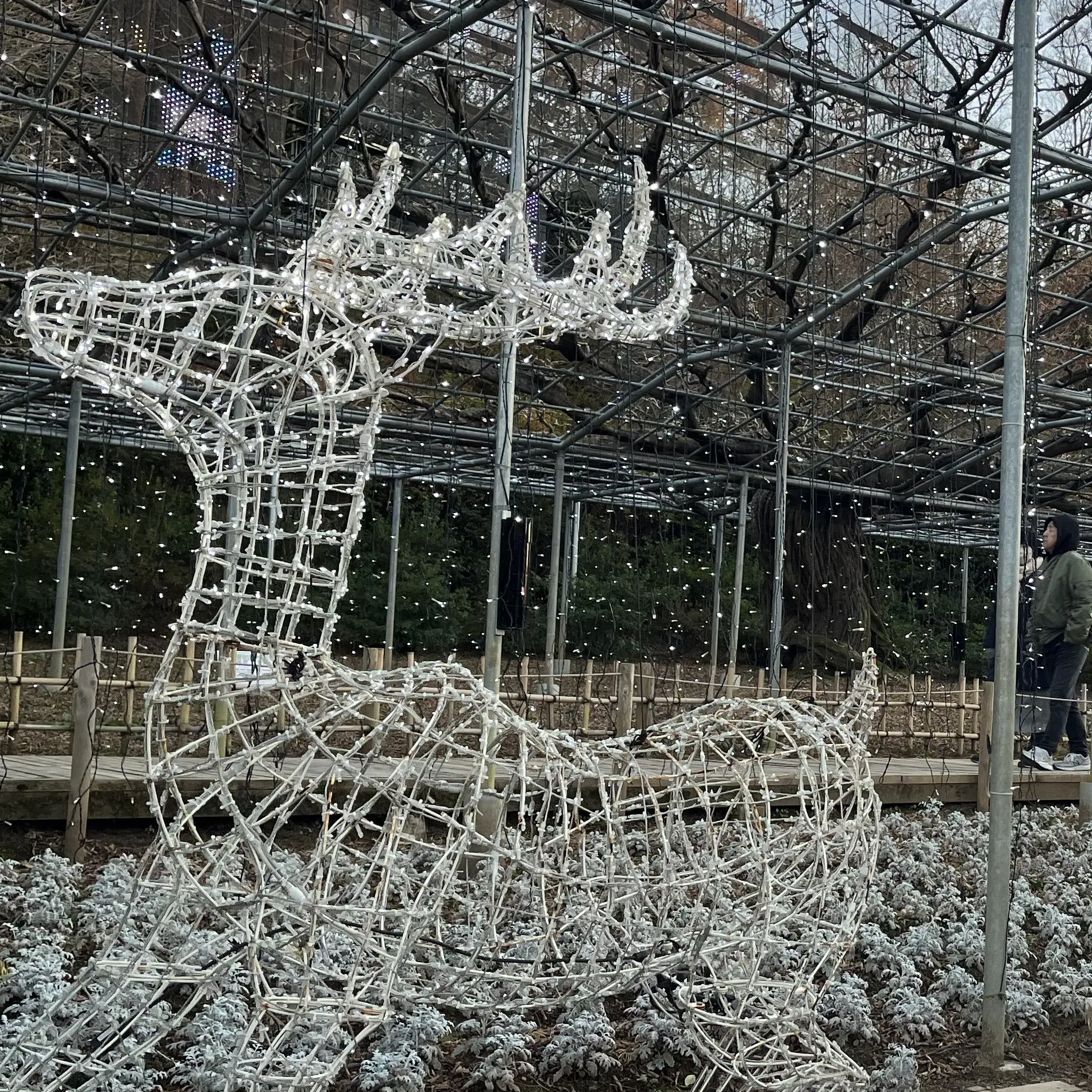 VainLily6107의 南星高校