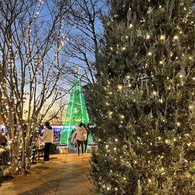 Profile image of アンシン