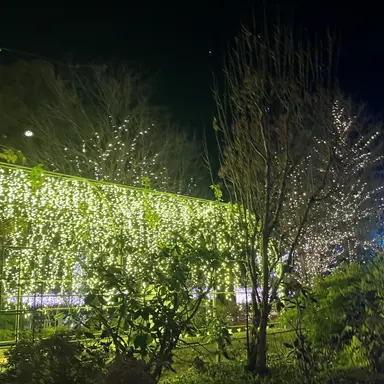 Profile image of ユじン