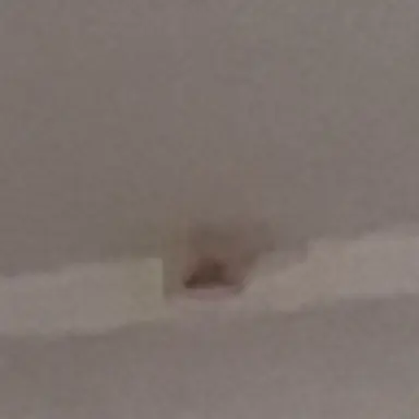 Profile image of Mira