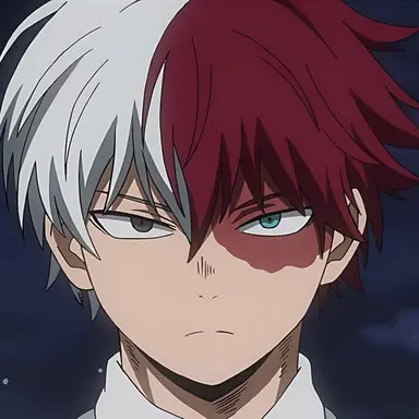 Profile image of Shoto Todoroki