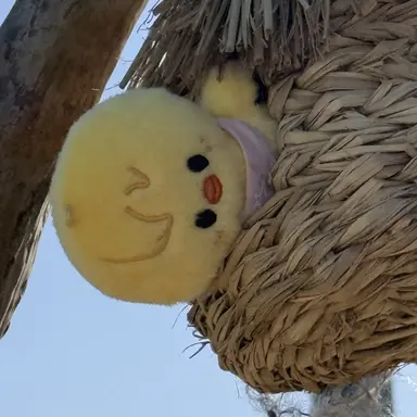 Profile image of 이용복