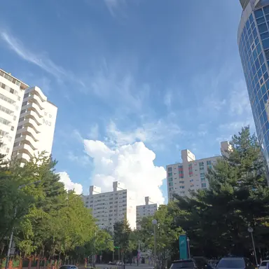 Profile image of 제드