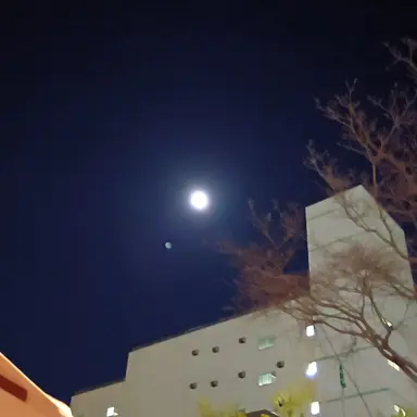 Profile image of 西山宏太朗