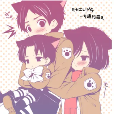 Profile image of 미카사