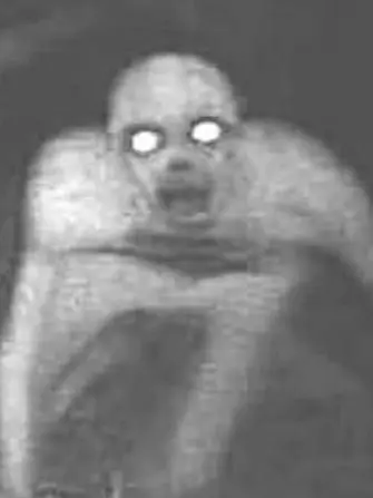 LIVELOVEPARTYYY의 Cuddling with your skinwalker husband 💀🤍